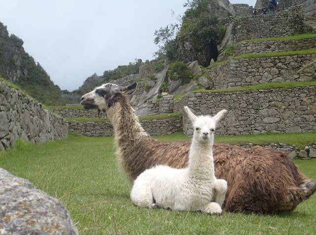 peru